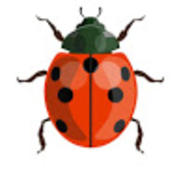 ccpredladybugs